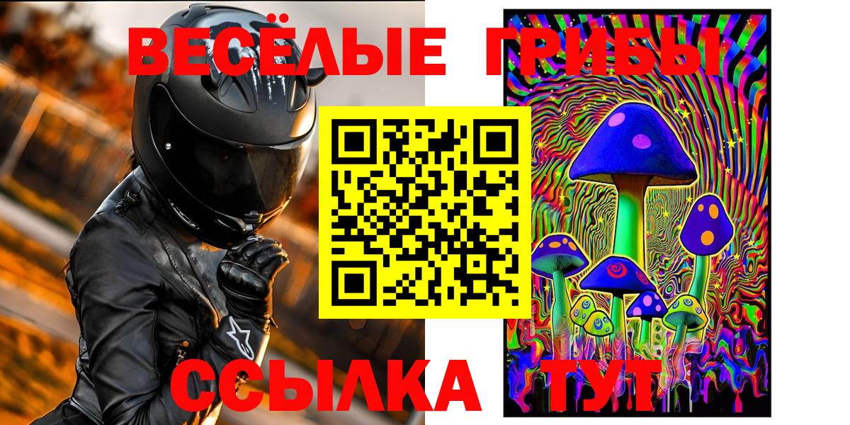 Псилоцибиновые грибы Cubensis Великий Устюг